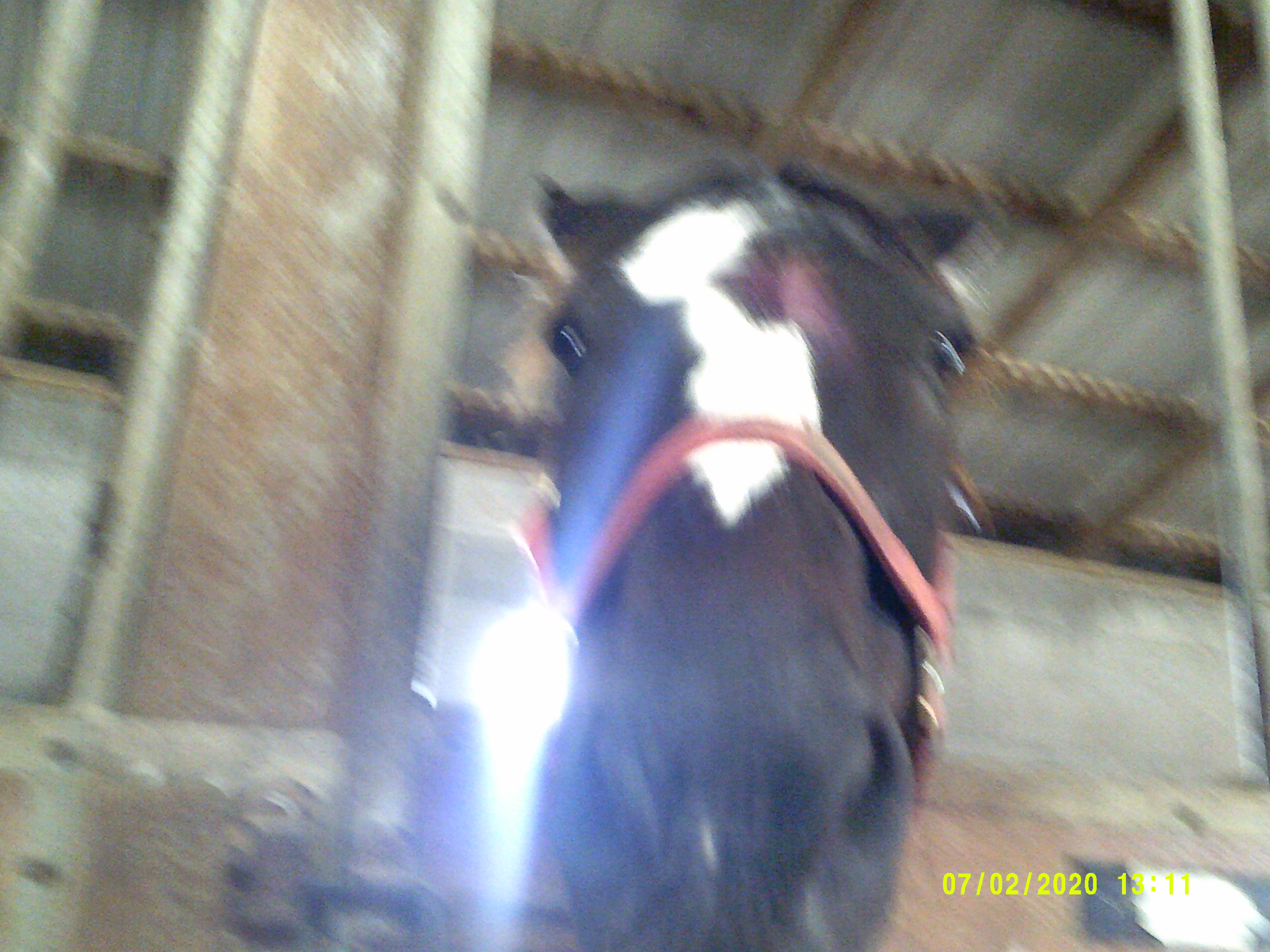 DBAABD06-0C3F-48F9-A5D7-84549F945173.jpeg