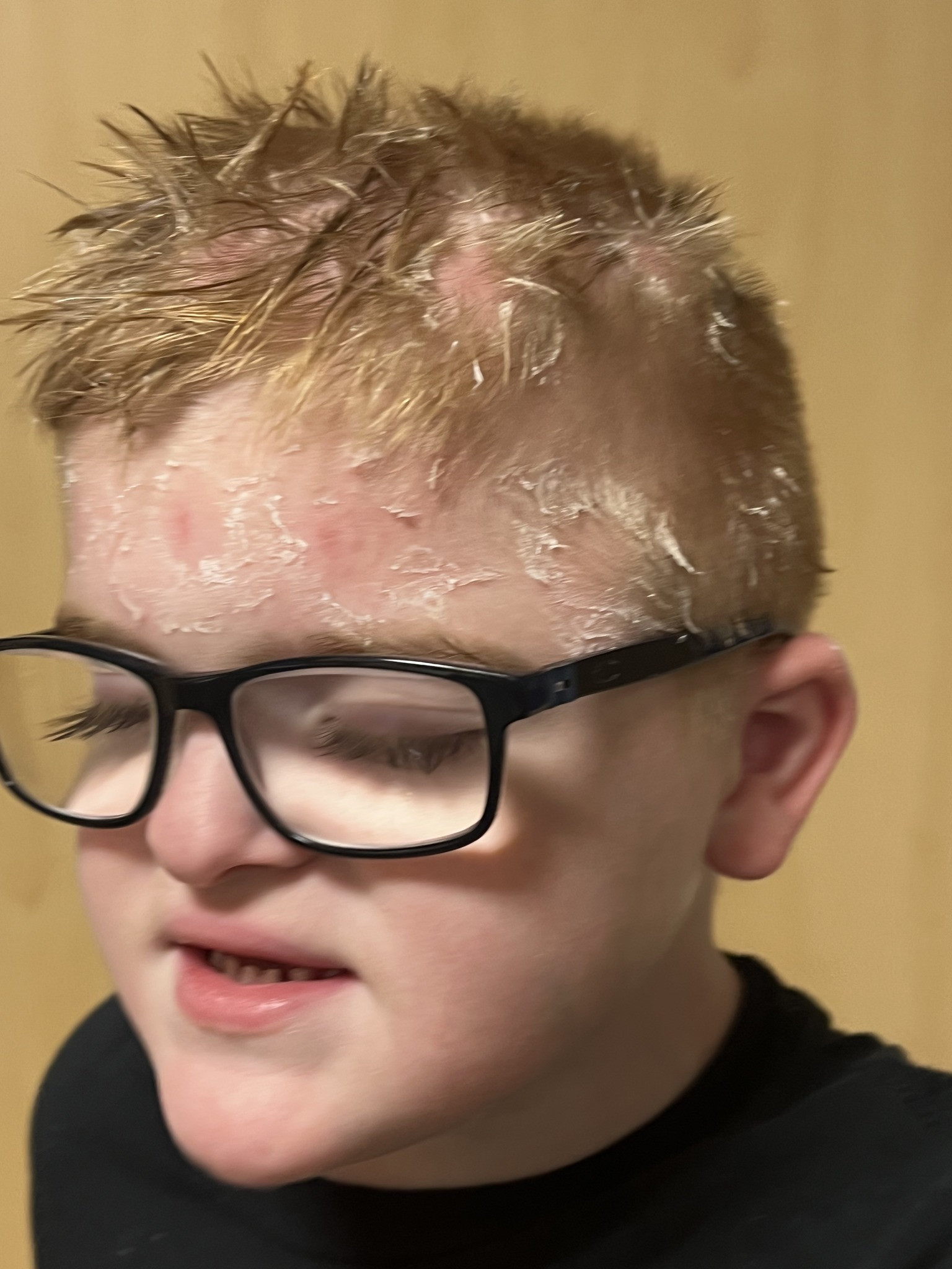 375595913_10227854868510142_5741849283179944680_n.jpg