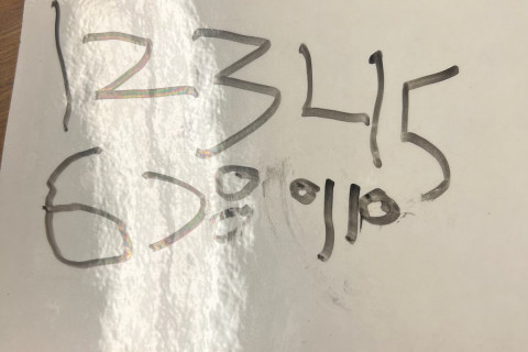 447804883_10229378984652093_2507990628533638788_n.jpg