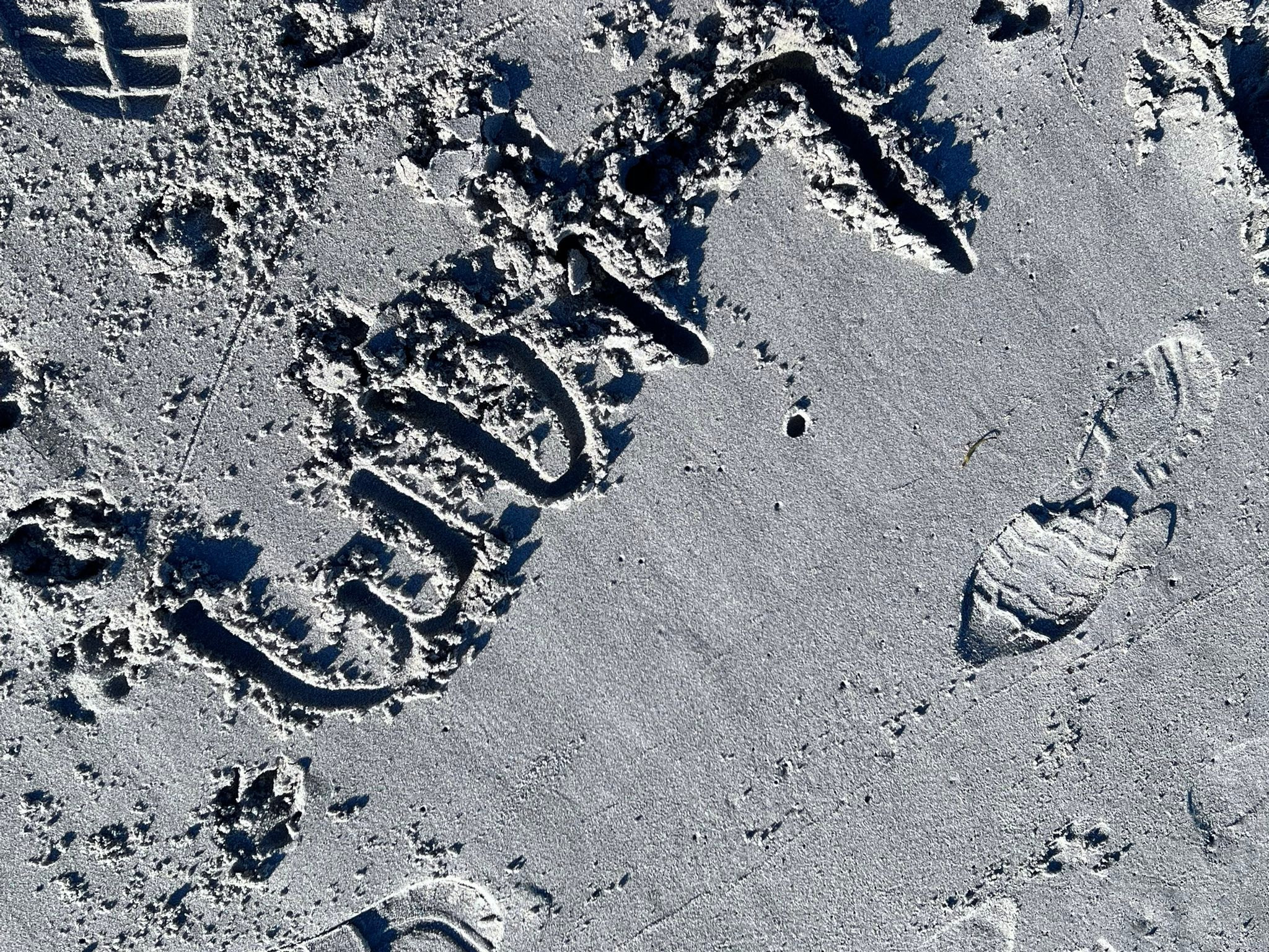 10235643647464748.jpg