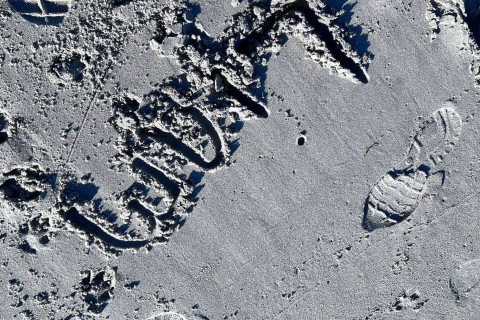 10235643647464748.jpg